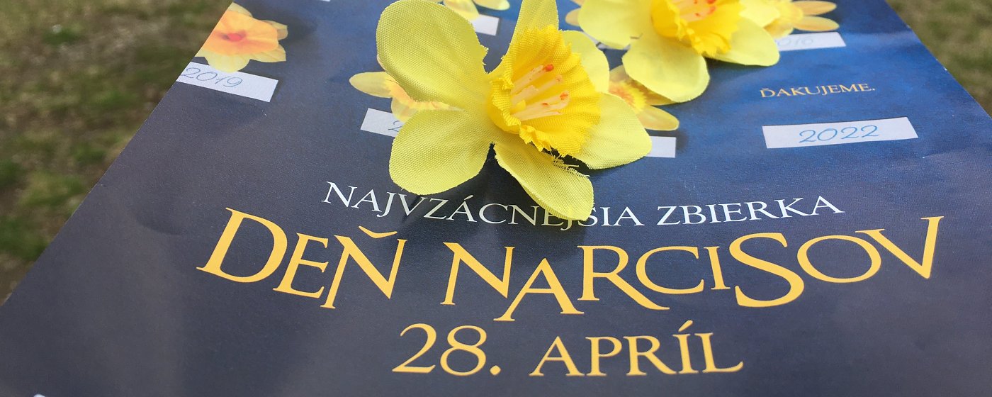Daffodils´ Day again with the participation of nursing students