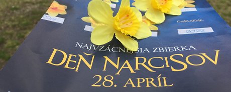 Daffodils´ Day again with the participation of nursing students