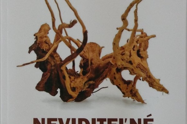 Recenzovaný vedecký zborník: NEVIDITEĽNÉ POSTAVY. FIKCIONALIZÁCIA PREKLADU A TLMOČENIA V UMELECKEJ LITERATÚRE