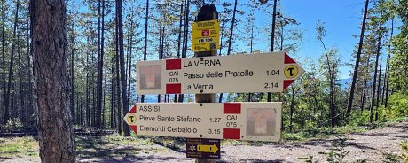 A Podcast on Psychology of Pilgrimage