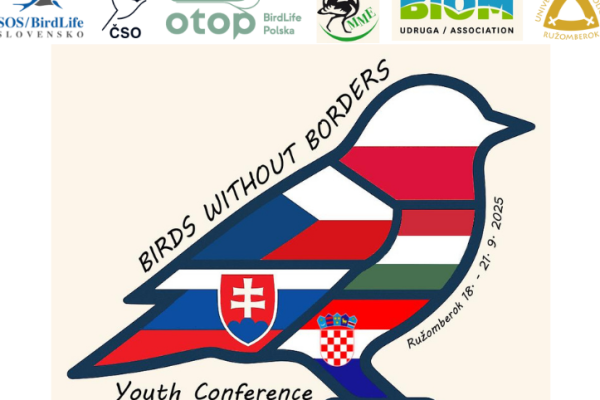 Birds without borders