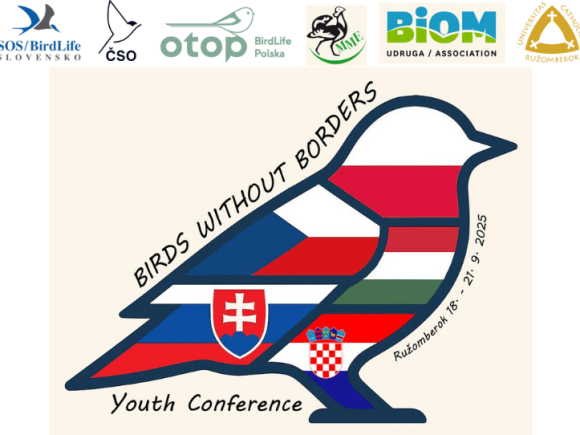 Birds without borders