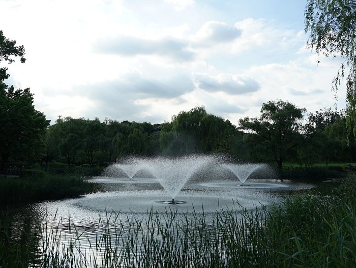 Family and Accompanying Members
