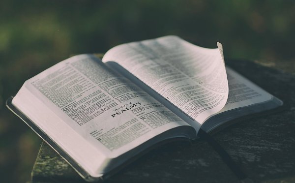 Modranské veršobranie