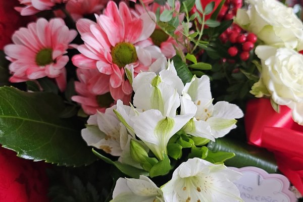 "Budúcnosť patrí vnútorne slobodným ľuďom – nie zmanipulovaným masám.”  Spomienková slávnosť k 120. výročiu narodenia Dietricha Bonhoeffera sa uskutoční 12. apríla 2026 v Nálepkove. Podujatia sa zúčastnia aj veľvyslanci akreditovaní v SR a profesor Khan