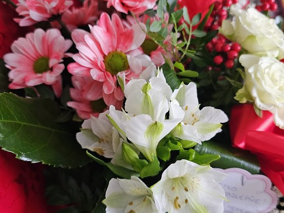 "Budúcnosť patrí vnútorne slobodným ľuďom – nie zmanipulovaným masám.”  Spomienková slávnosť k 120. výročiu narodenia Dietricha Bonhoeffera sa uskutoční 12. apríla 2026 v Nálepkove. Podujatia sa zúčastnia aj veľvyslanci akreditovaní v SR a profesor Khan