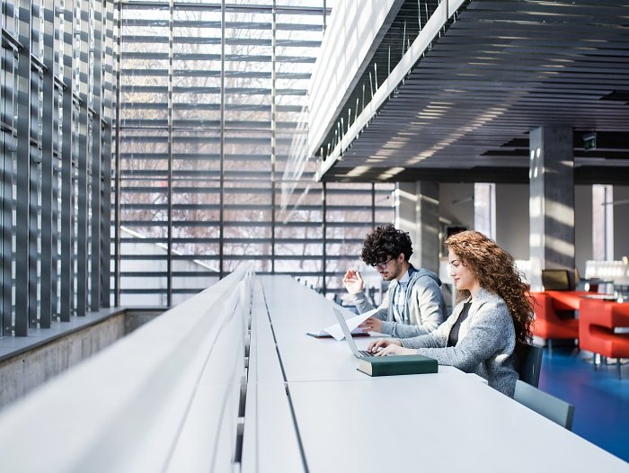 Newslettre za rok 2025