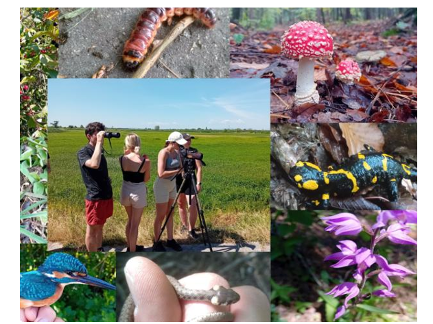 Teaching about Nature