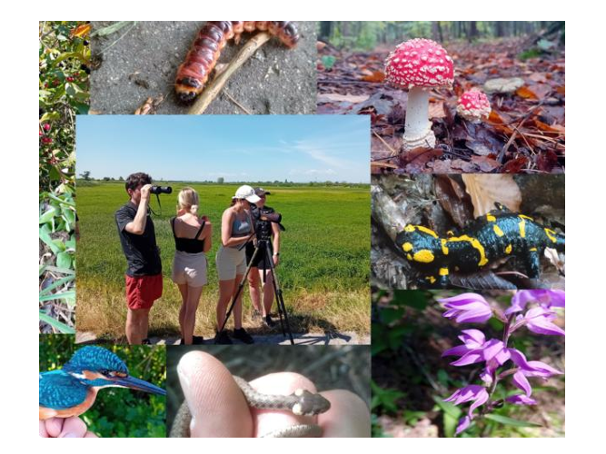 Beyond the Classroom: Erasmus+ BIP – When Nature Becomes the Teacher