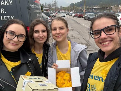 Študenti ošetrovateľstva na Deň narcisov opäť v uliciach Ružomberka